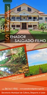senador salgado filho